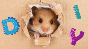 DIY Hamster Toys and Treats